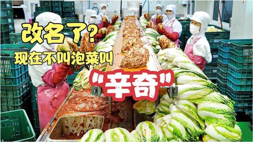 雨轩斋清真食品 坚守“辛奇”品质，践行HACCP最高卫生标准